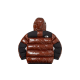 Supreme The North Face 700-Fill Down Parka Brown Supreme The North Face 700-Fill Down Parka Brown