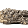b6612714455149_50199