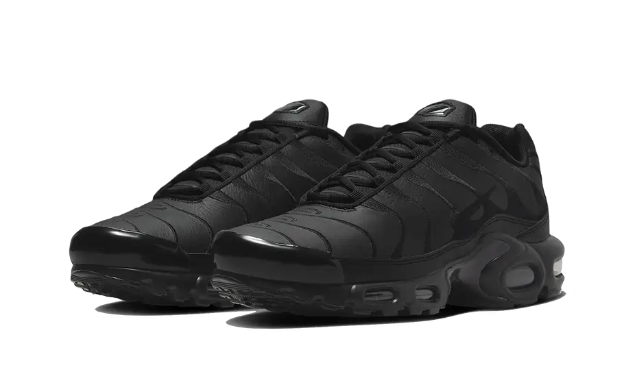 AJ2029-001_2 Nike Air Max Plus Triple Black Leather - Image 1