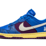 Nike Dunk Low Undefeated 5 On It