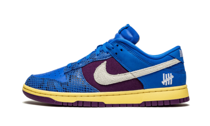 Nike Dunk Low Undefeated 5 On It