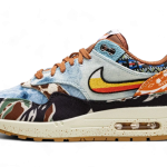 Nike Air Max 1 SP Concepts Heavy