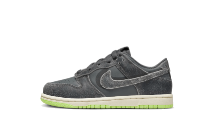 Nike Dunk Low Swoosh Shadow Iron Grey Enfant (PS)