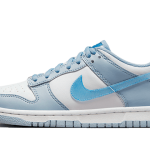 Nike Dunk Low Hologram