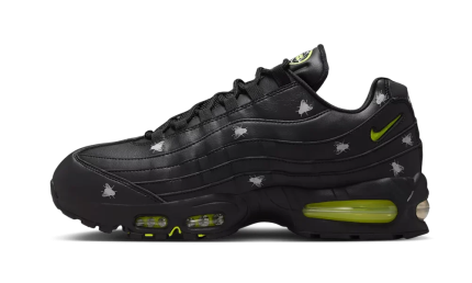 Nike Air Max 95 Houseflies
