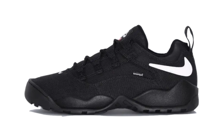 Nike SB Darwin Low Supreme Black