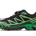 Salomon Advanced XT-6 Gore-Tex Eden Green Ash