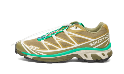 Salomon XT-6 Dried Herb