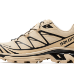Salomon XT-6 GTX Safari